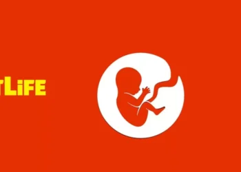 BitLife Simulator